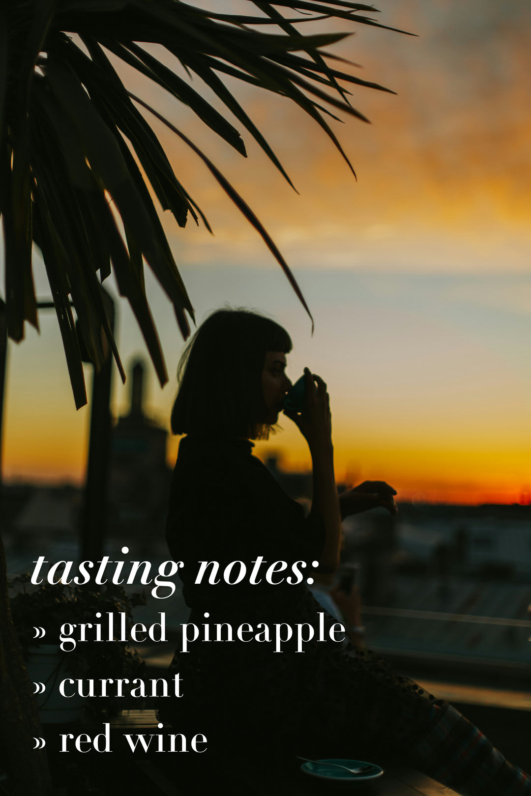 Torque Coffee - Bahire - Burundi