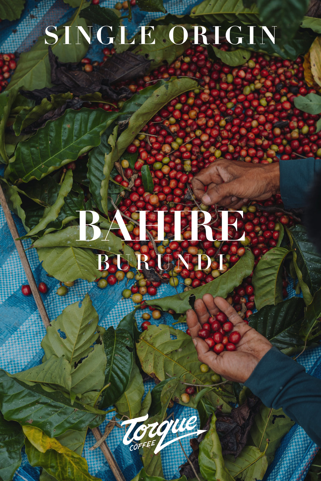 Torque Coffee - Bahire - Burundi