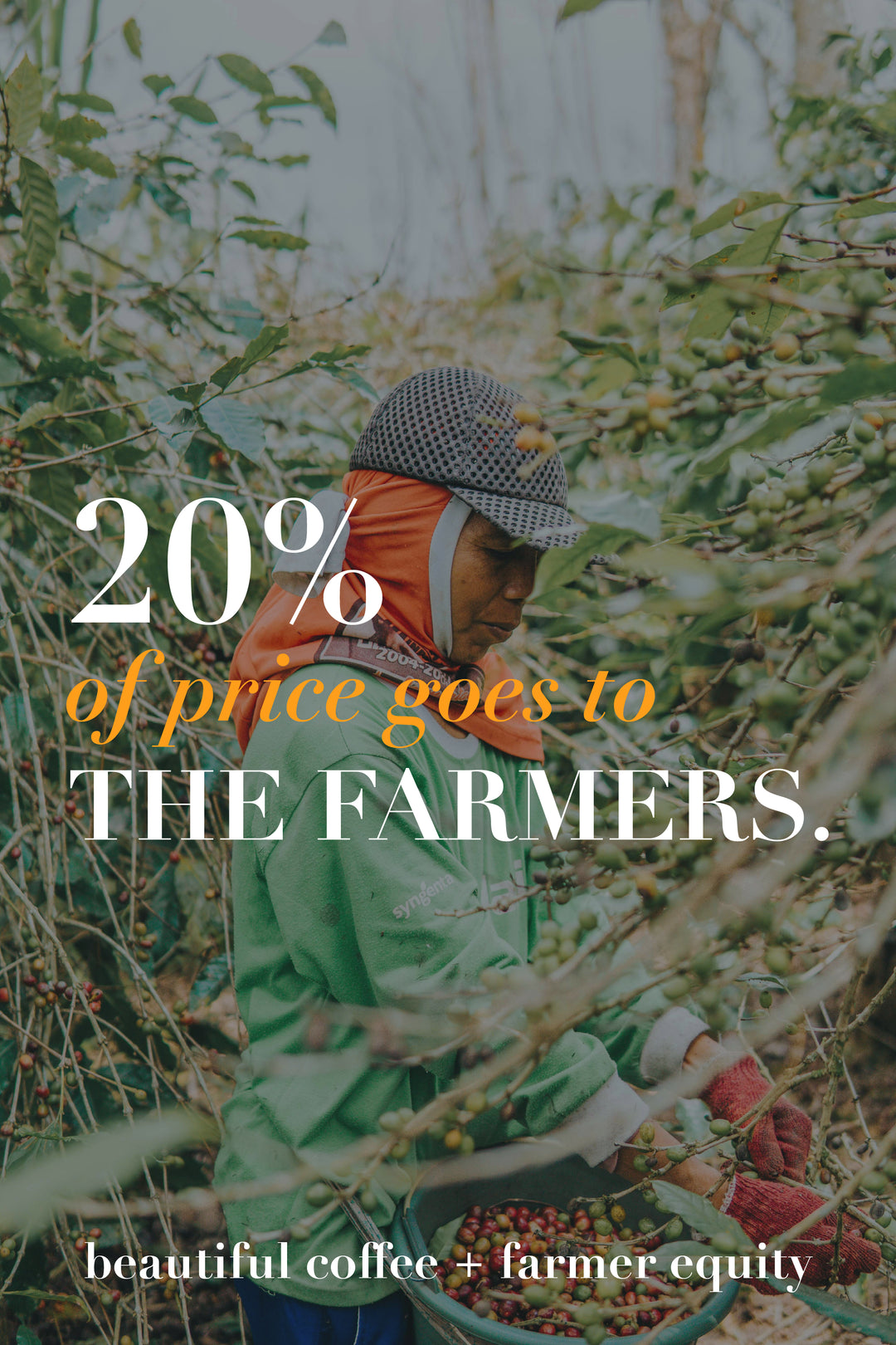 Torque Coffee - Demi Drop (Half Caffeine Blend)