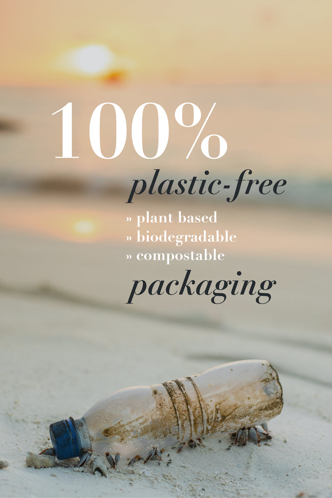 Torque Coffee - H1 Centroamericano - Mexico