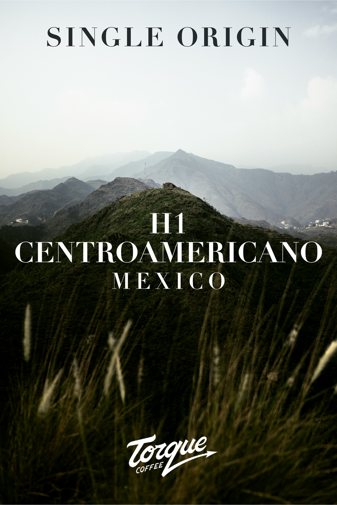 Torque Coffee - H1 Centroamericano - Mexico