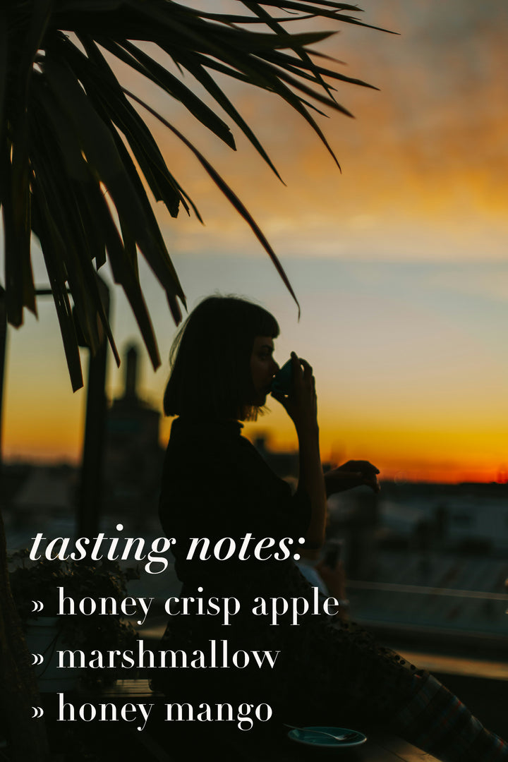 Torque Coffee - Honey Drop