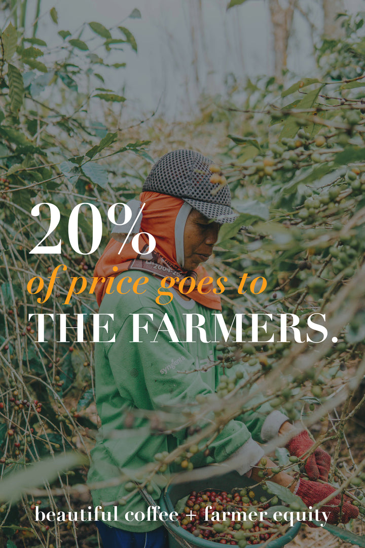 Torque Coffee - Honey Drop