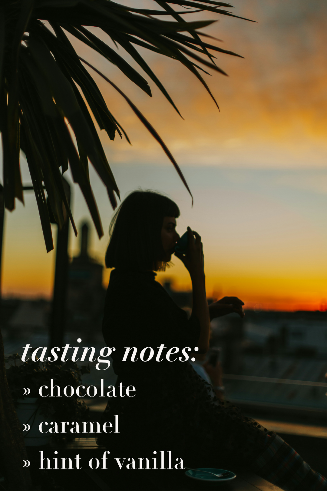 Partners Rockaway Cold Brew Pouches