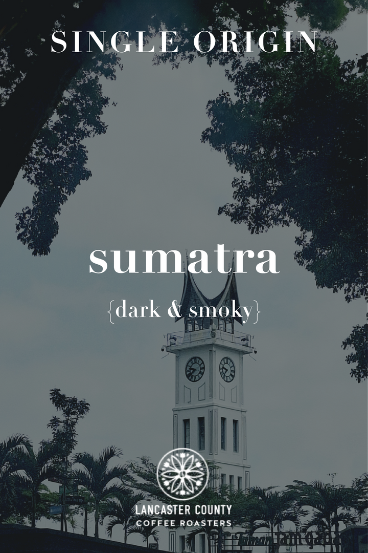 LCCR Sumatra Coffee