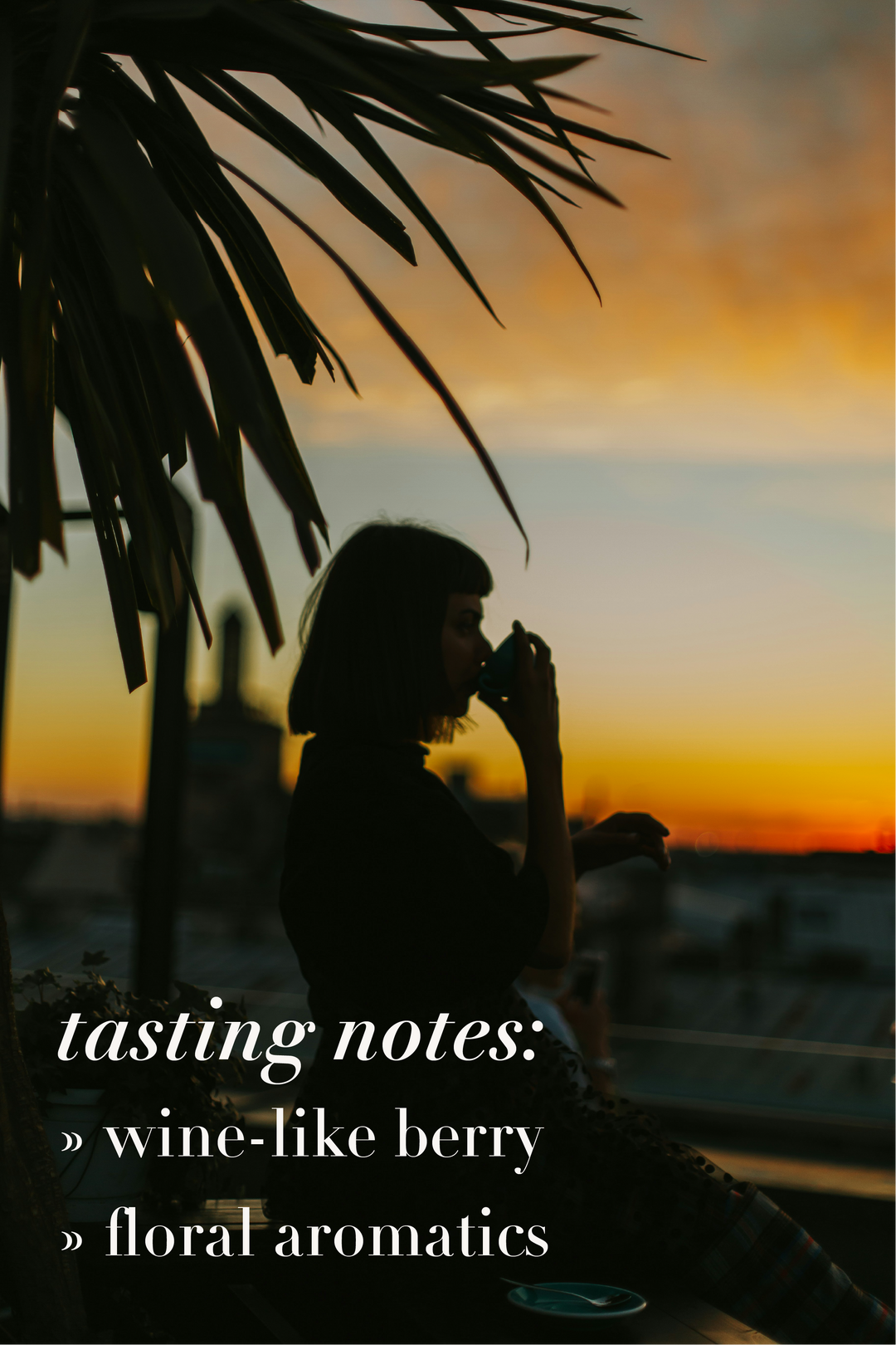 LCCR Ethiopian Yirgacheffe Coffee