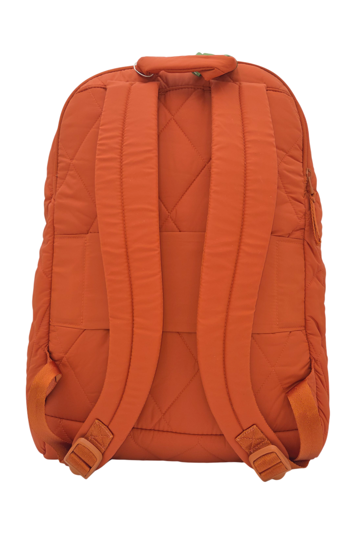 Vera Bradley Featherweight Westover Hybrid Backpack – Potter’s Clay