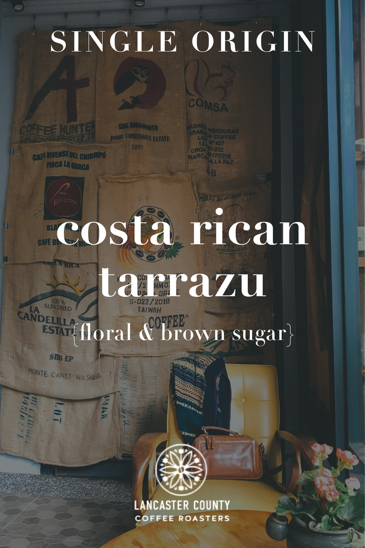 LCCR Costa Rican Tarrazu