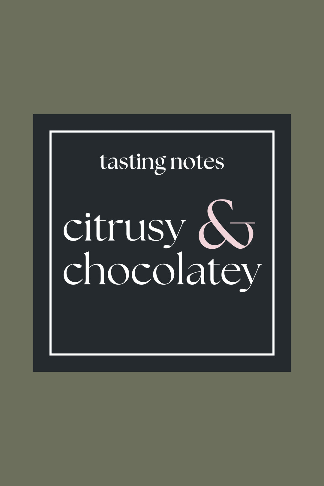 Daymaker – Medium Roast Coffee Blend