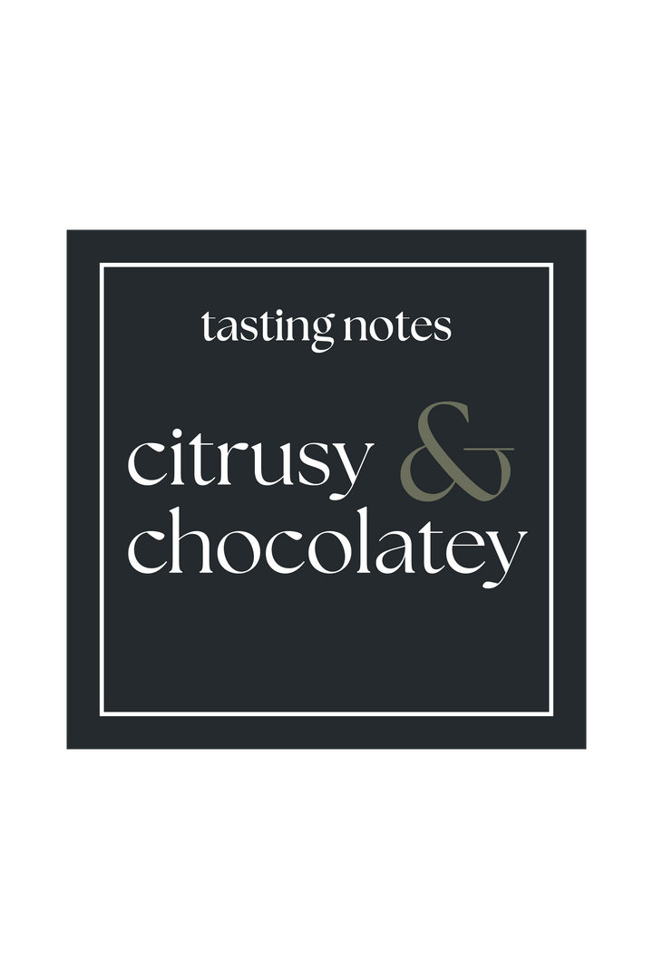 Daymaker – Medium Roast Coffee Blend