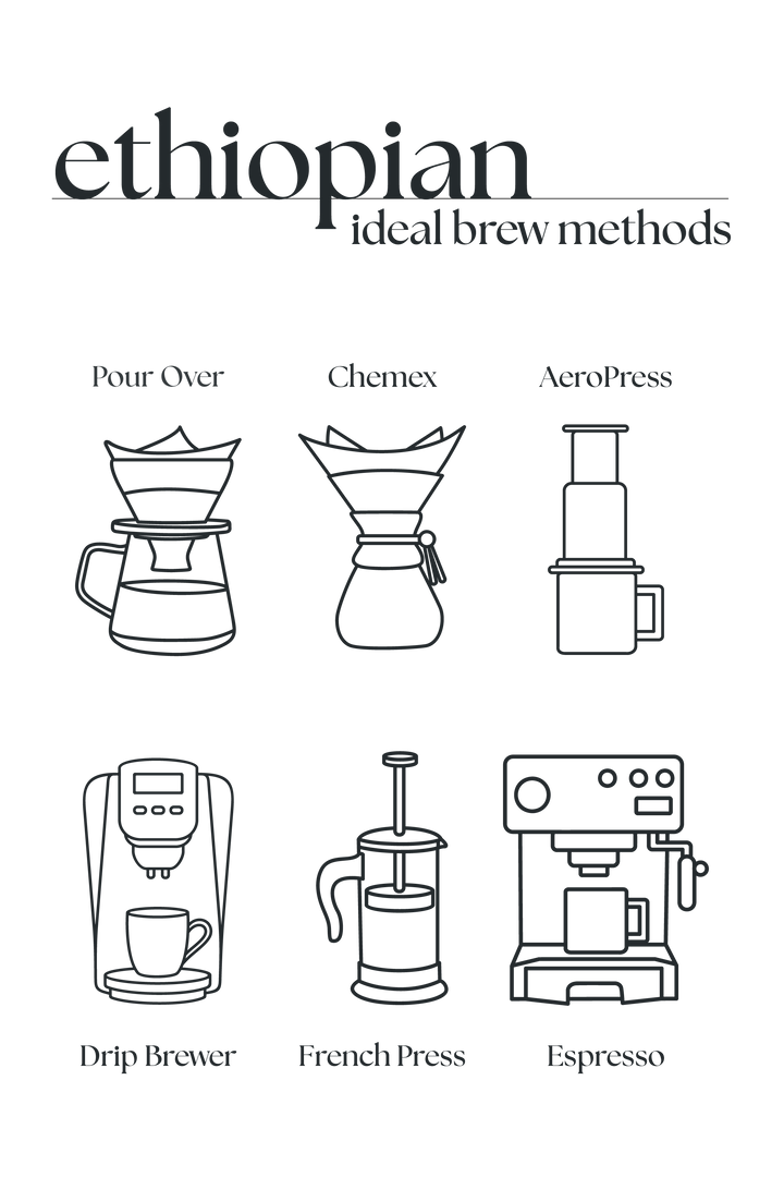 Ethiopian Light Roast Coffee – Single Origin