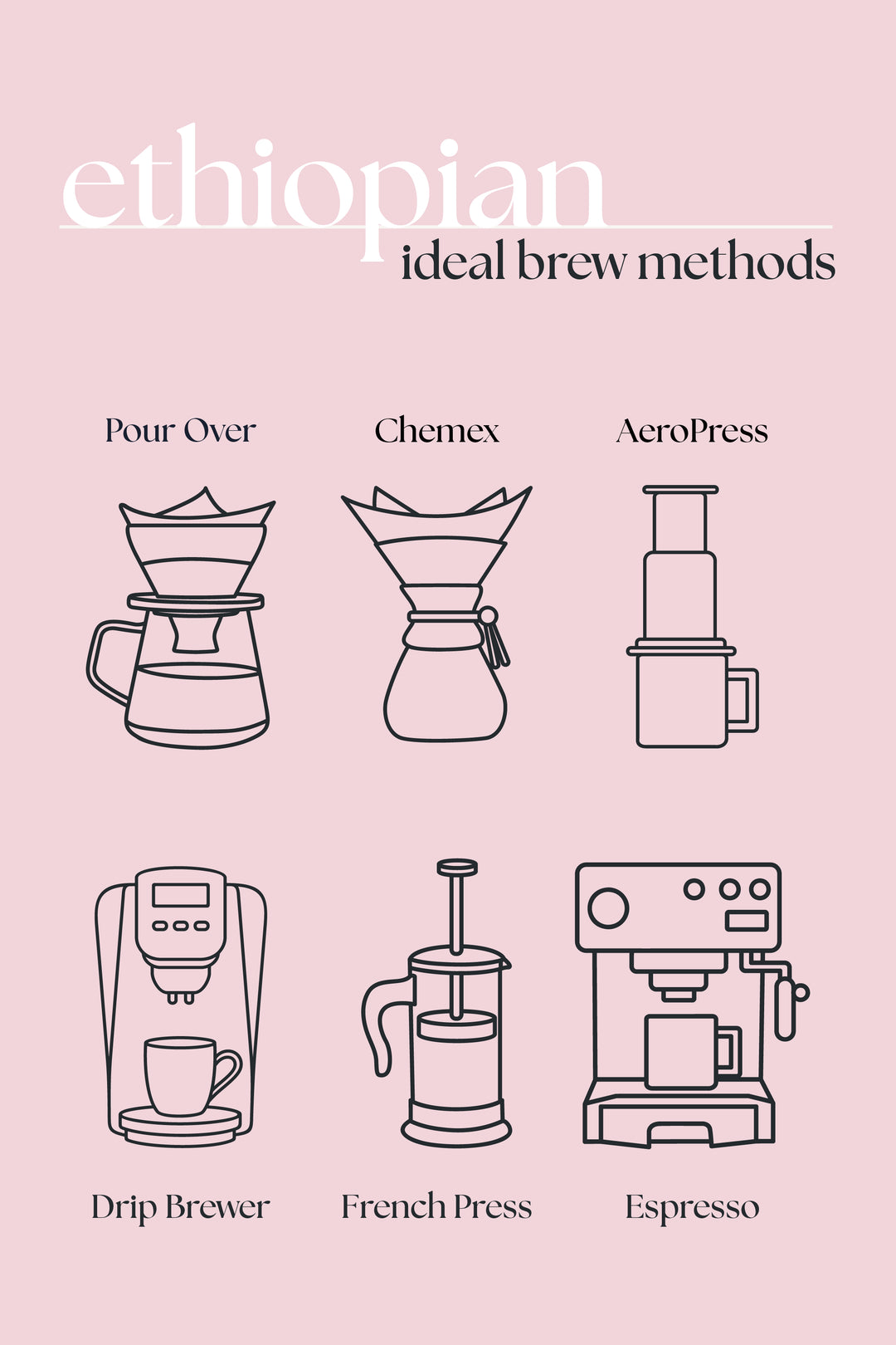 Ethiopian Light Roast Coffee – Single Origin