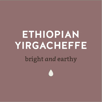 LCCR Ethiopian Yirgacheffe Coffee