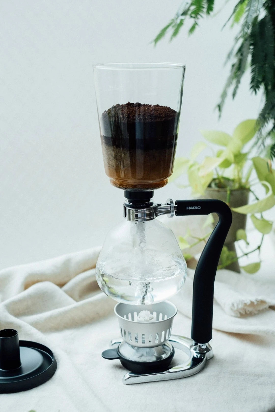 Hario "Next" Coffee Syphon