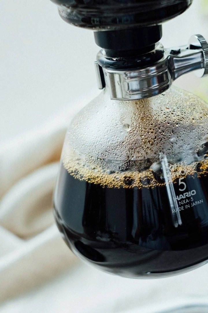 Hario "Next" Coffee Syphon