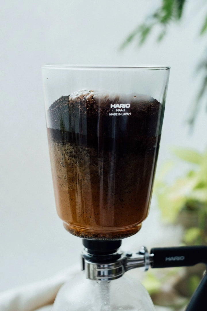 Hario "Next" Coffee Syphon
