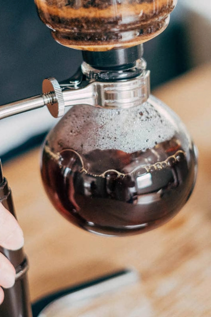Hario "Technica" Coffee Syphon
