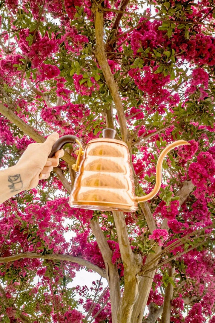 Hario V60 "Buono" Copper Drip Kettle 0.9L