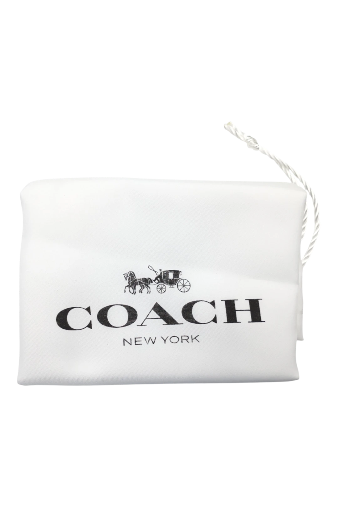 COACH Willow Color-Block Leather Bucket Bag in Sage Multi