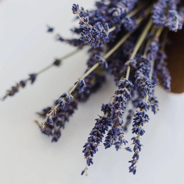Lavender Earl Grey Tea Mini Tube