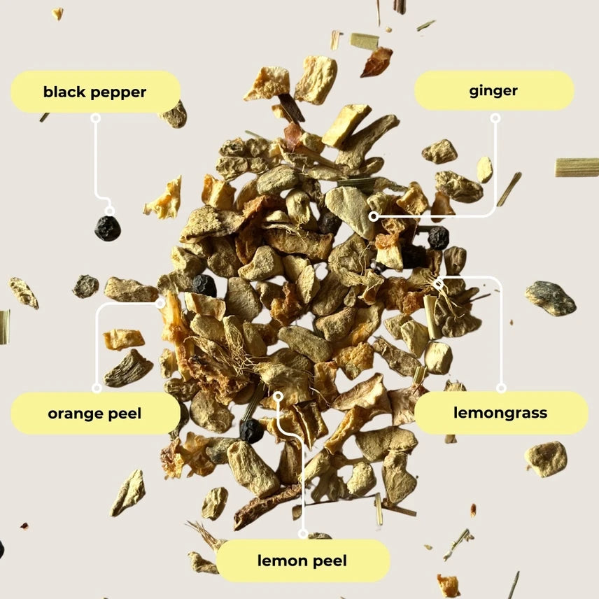 Lemon Ginger Herbal Tea Pouch