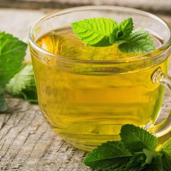 Peppermint Herbal Tea Mini Tube