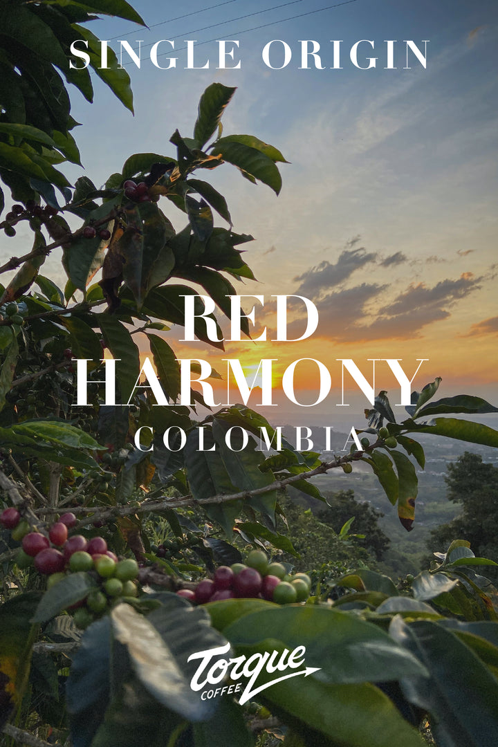 Torque Coffee - Red Harmony - Colombia