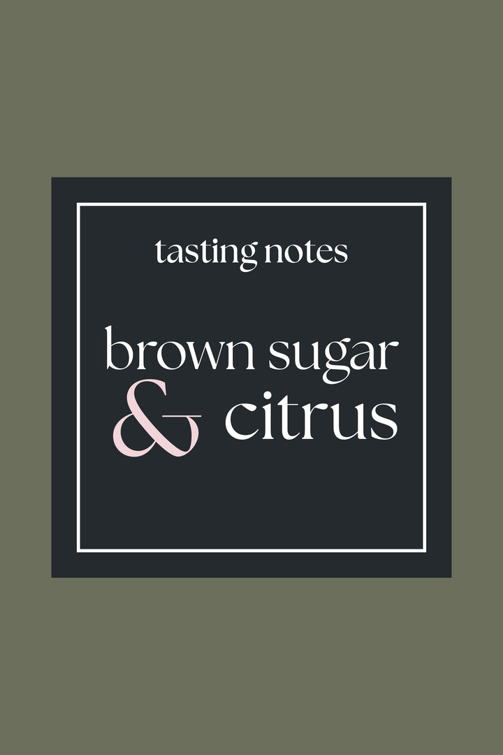 Solace – Light Roast Breakfast Blend Coffee