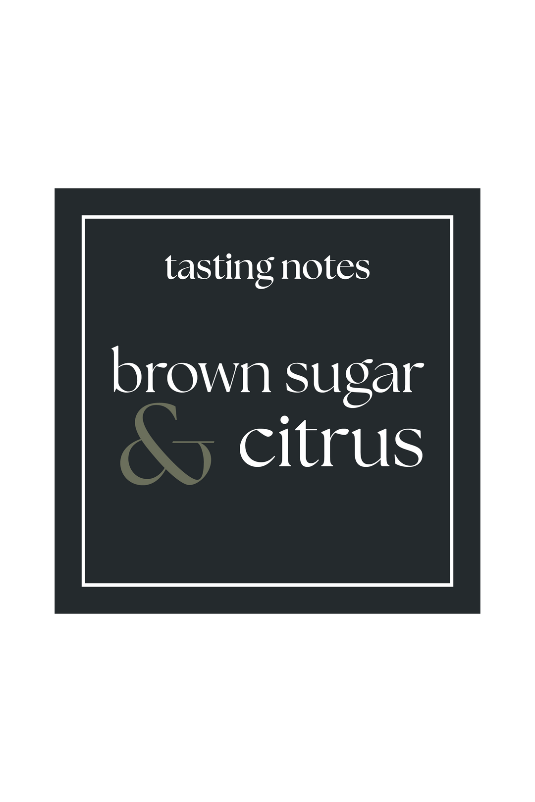 Solace – Light Roast Breakfast Blend Coffee