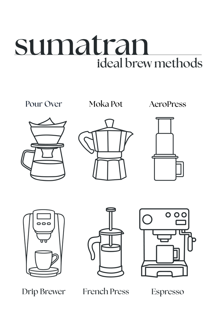 Sumatran Dark Roast Coffee – Single Origin