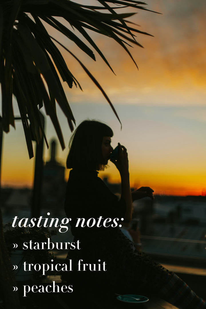 Torque Coffee - Sunset Decaf - Colombia